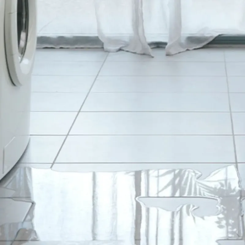Appliance Leak Cleanup in Buellton, CA