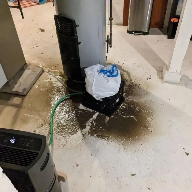 Sewage Backup Cleanup Service in Buellton, CA